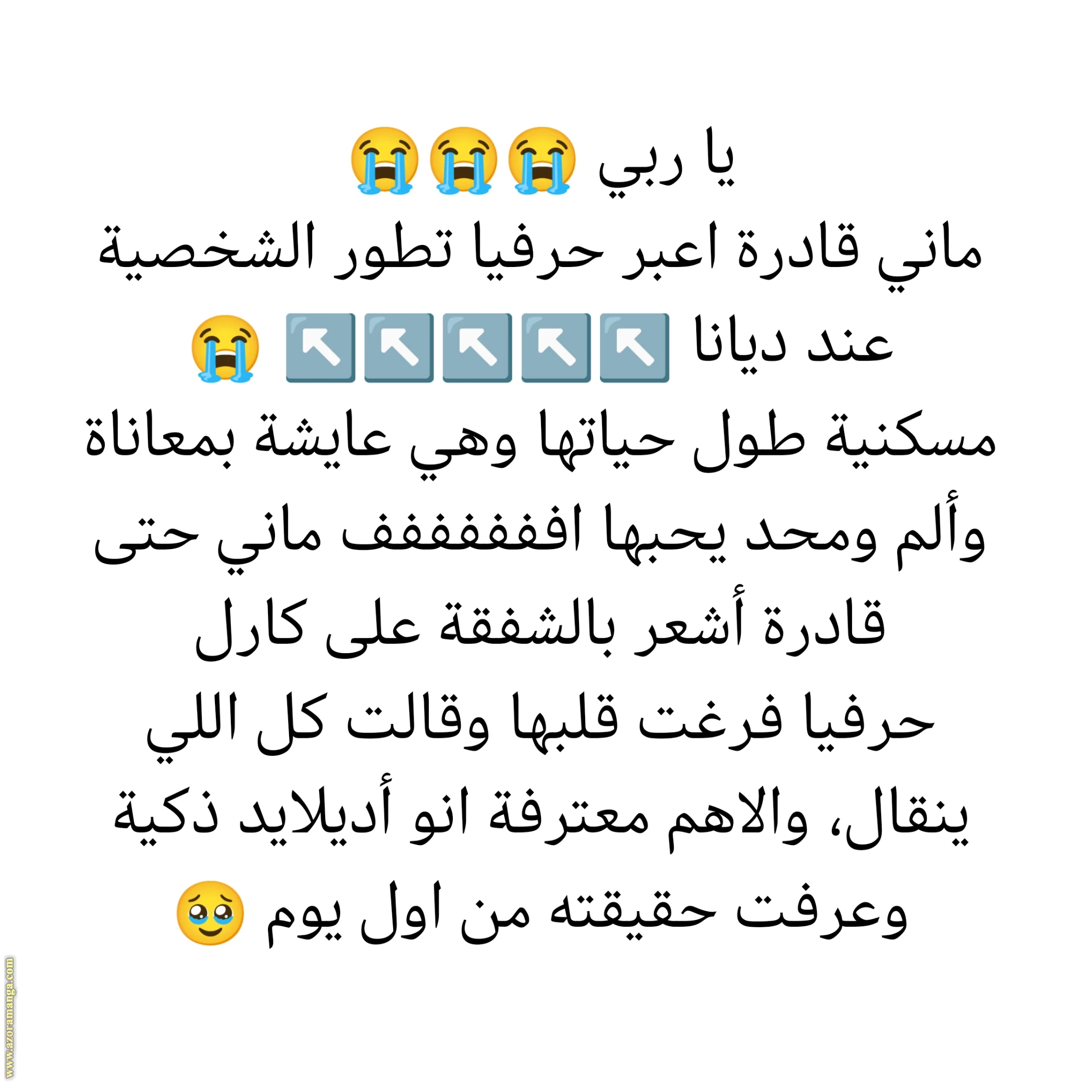 الصفحة 19