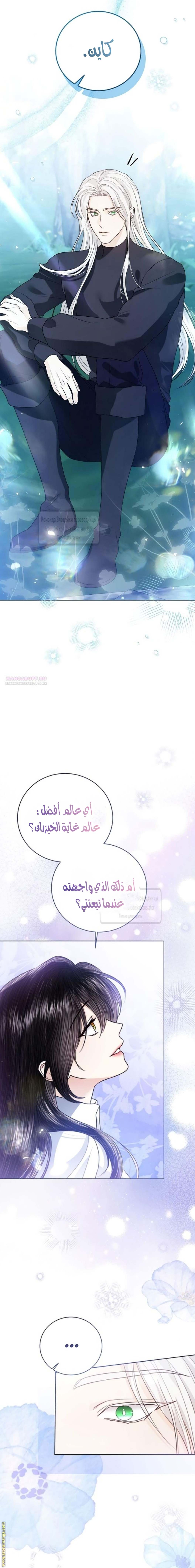 الصفحة 8