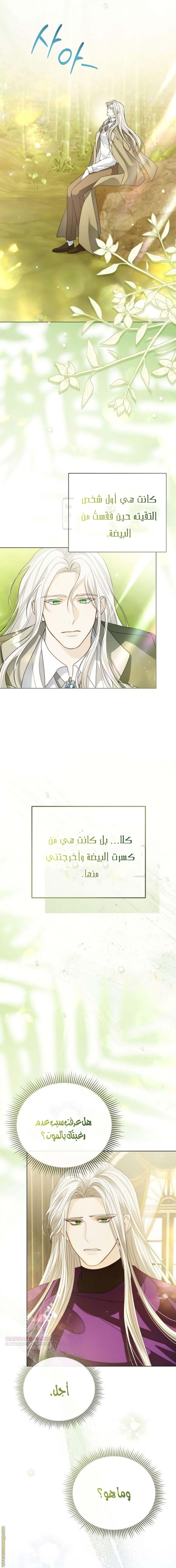 الصفحة 26