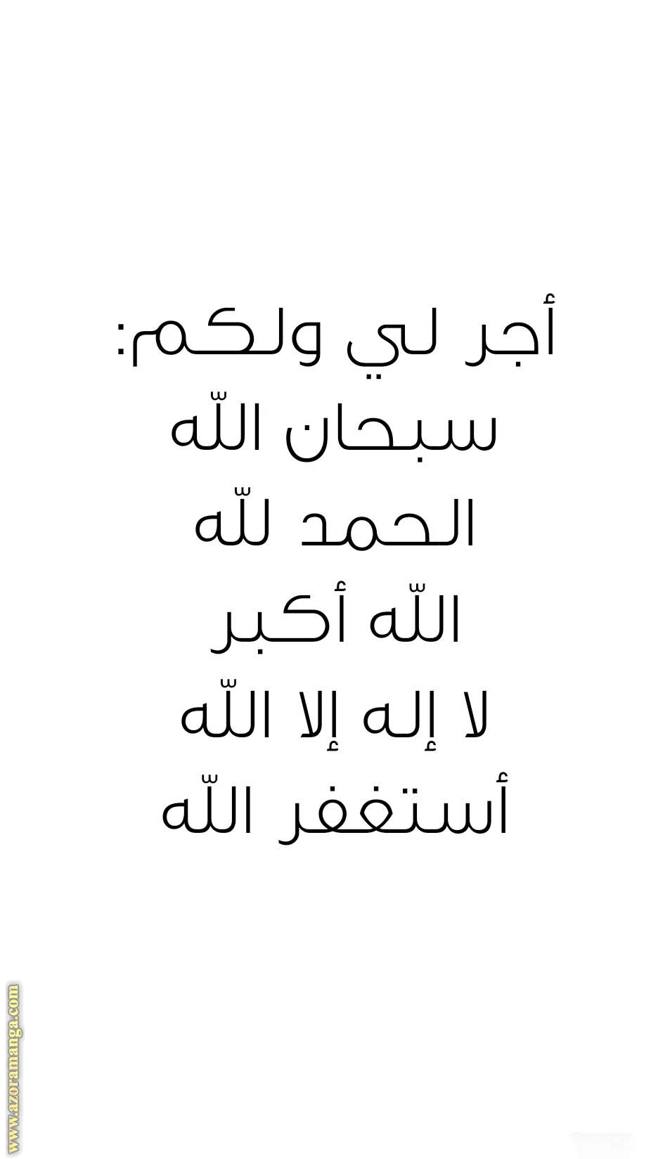 الصفحة 3