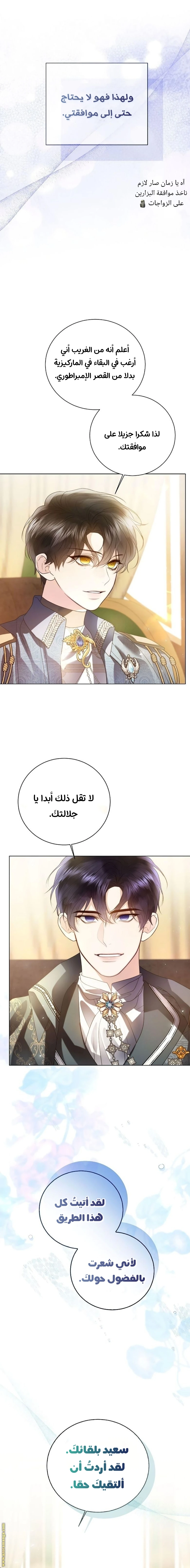 الصفحة 13