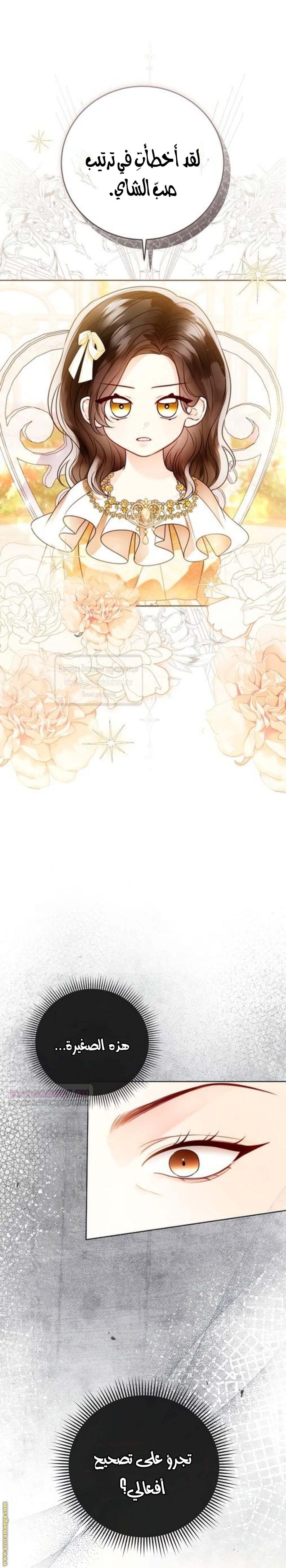 الصفحة 21