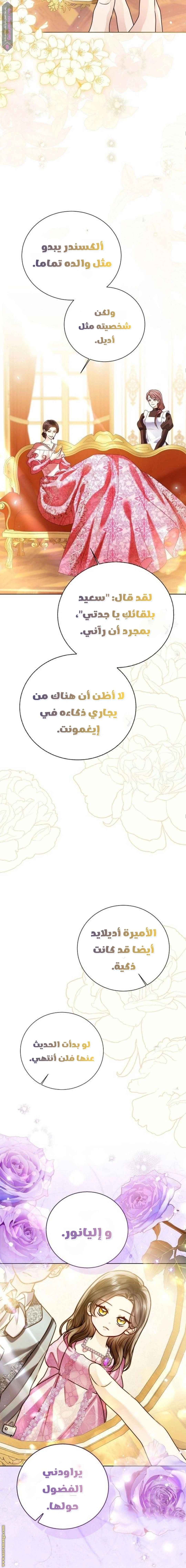 الصفحة 17