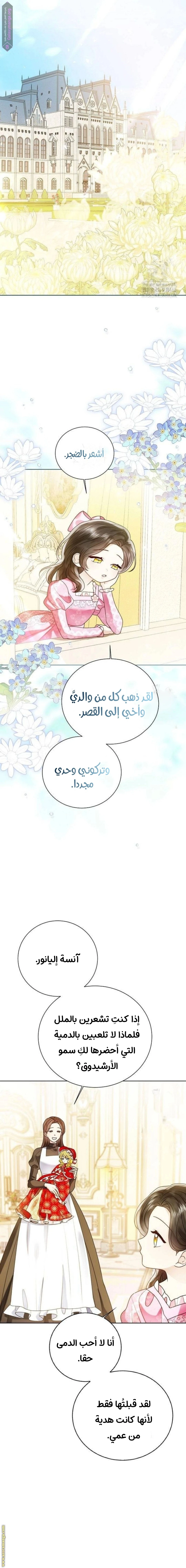 الصفحة 20