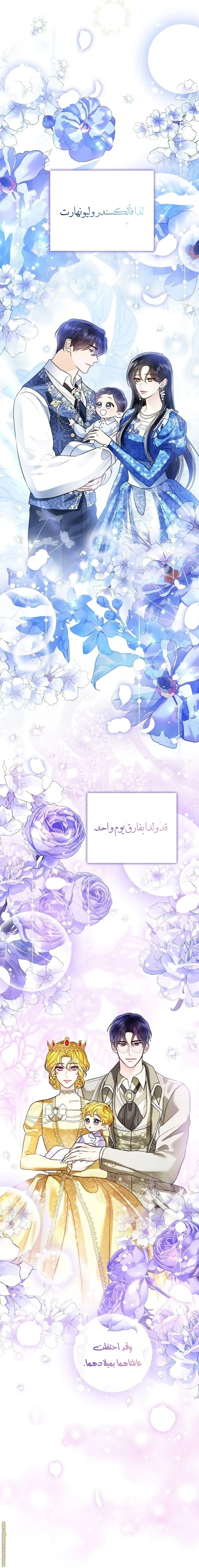 الصفحة 17