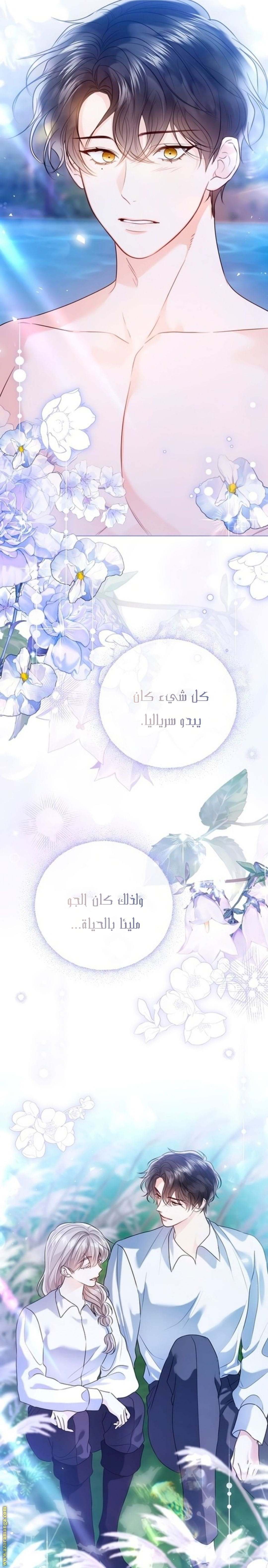الصفحة 13