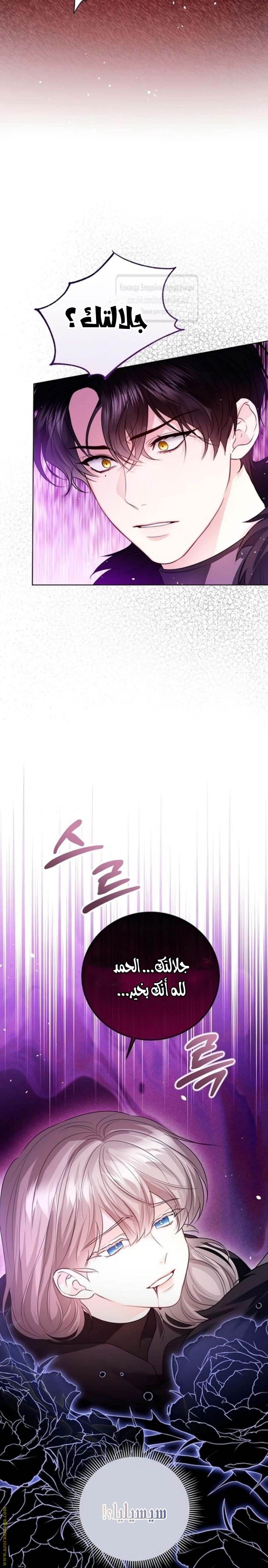 الصفحة 17