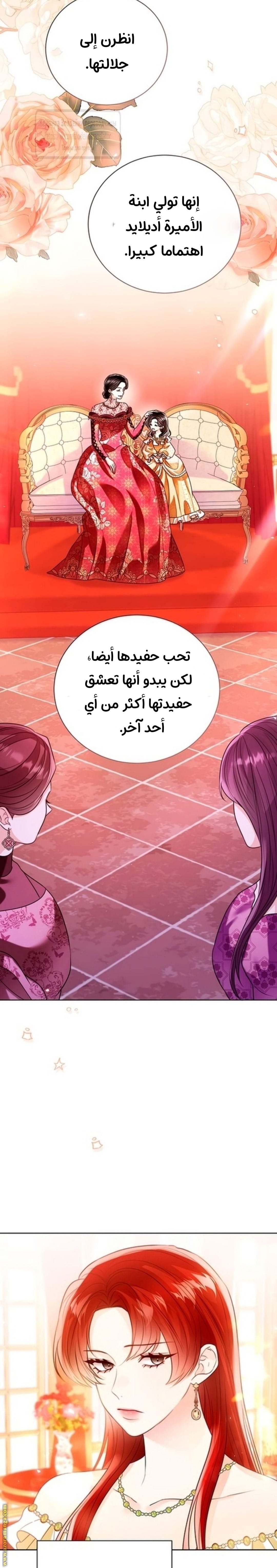 الصفحة 24