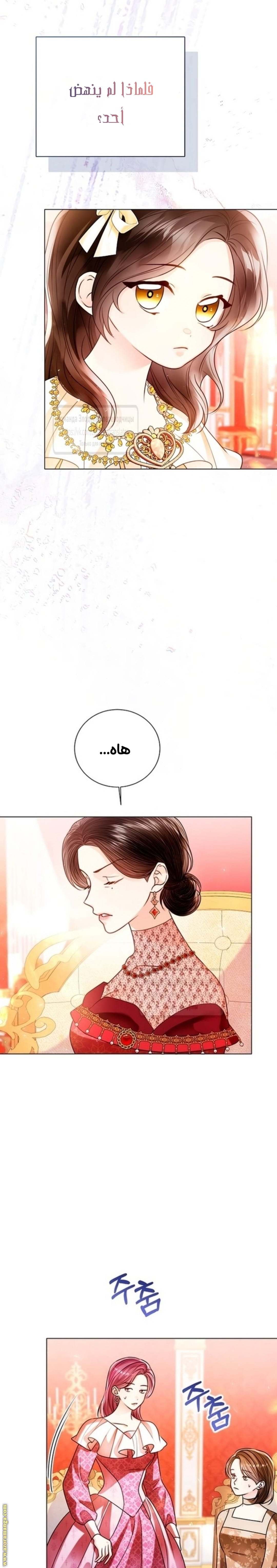 الصفحة 29