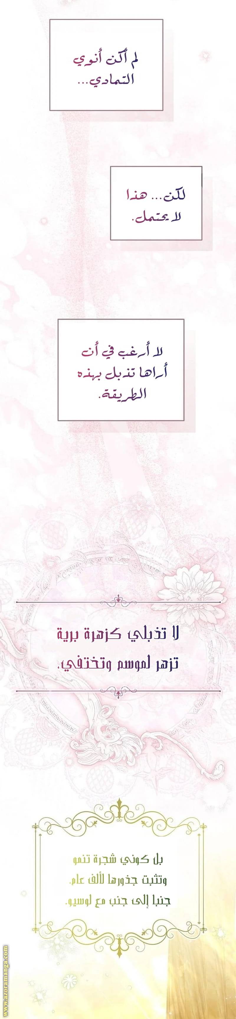 الصفحة 26