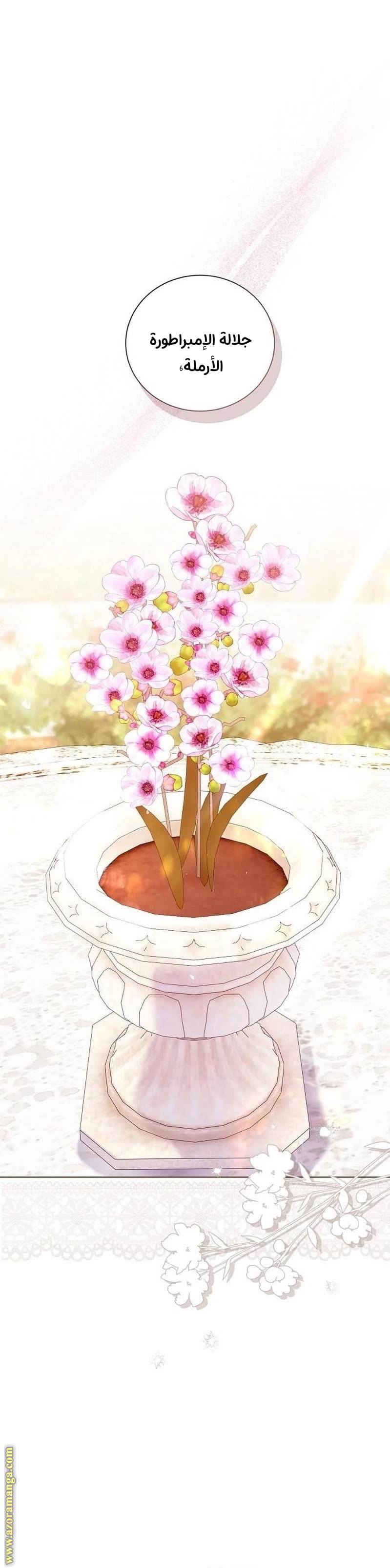 الصفحة 30