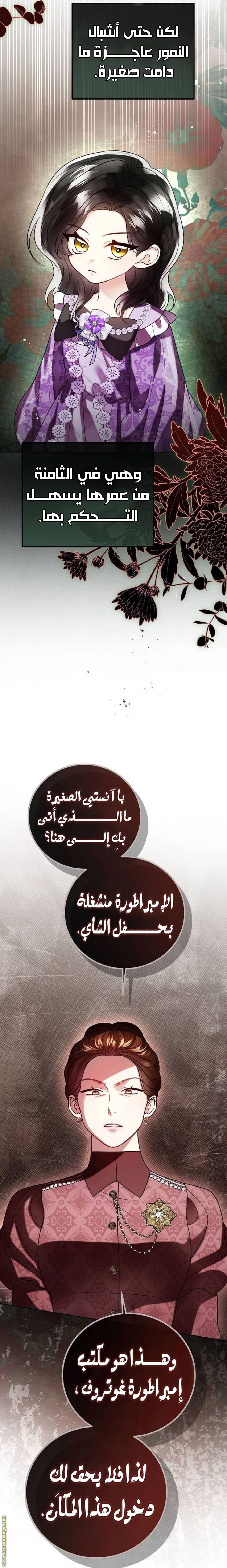 الصفحة 29