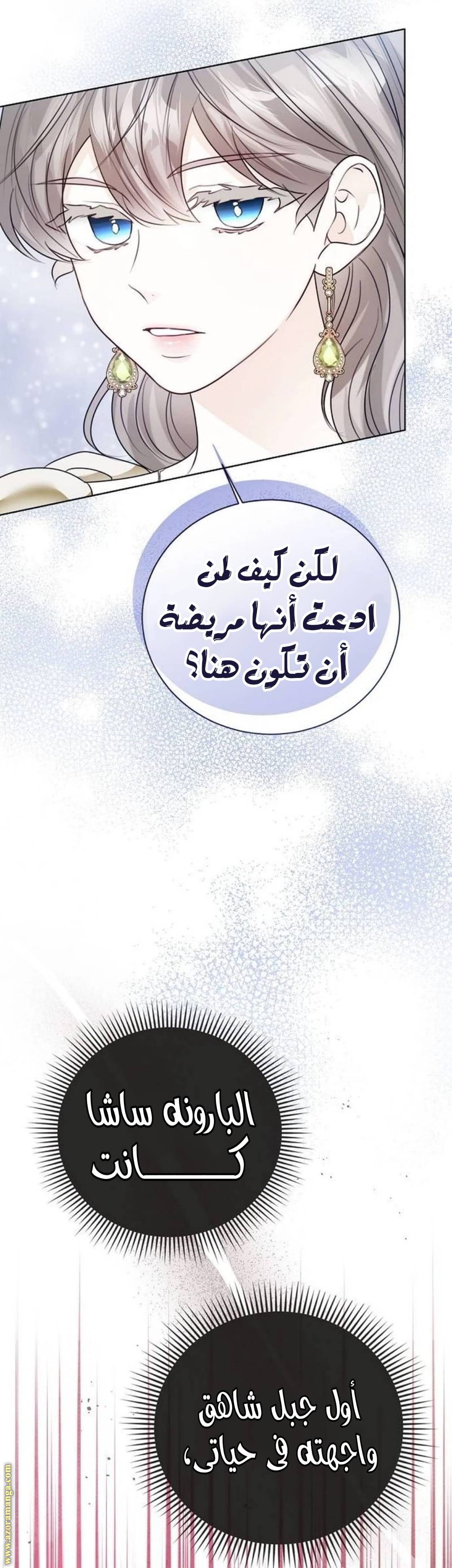 الصفحة 38
