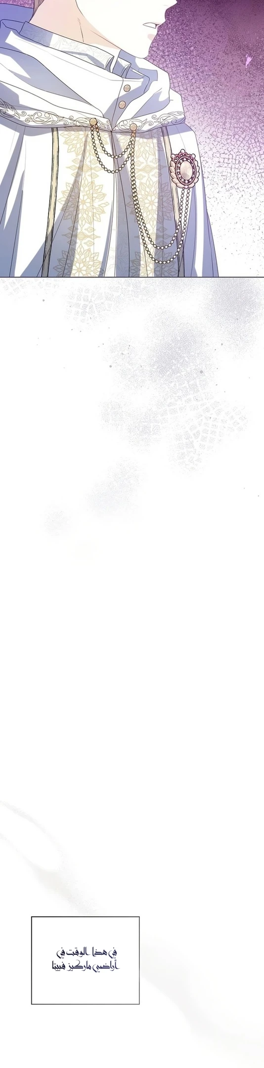 الصفحة 42
