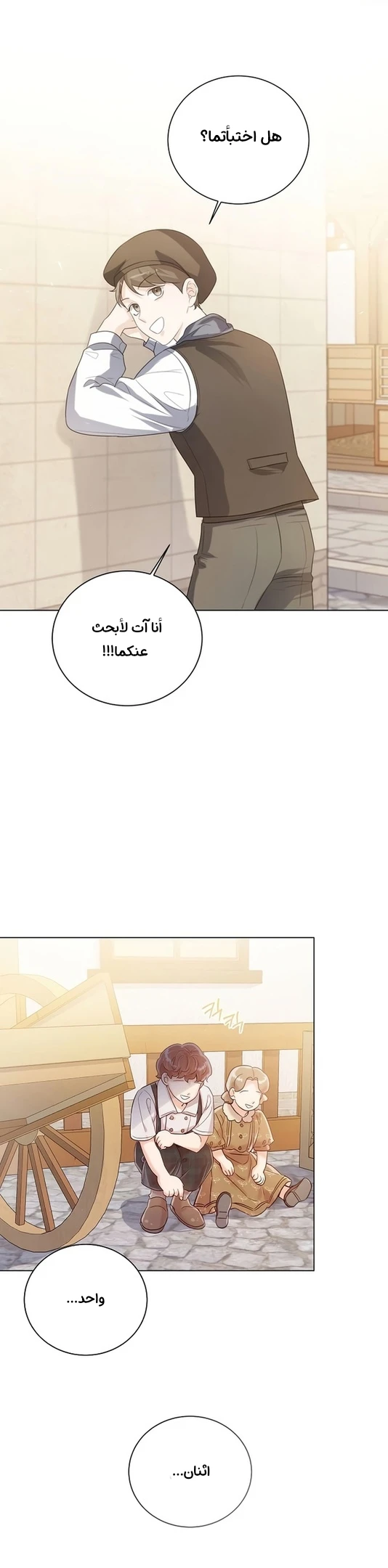 الصفحة 43