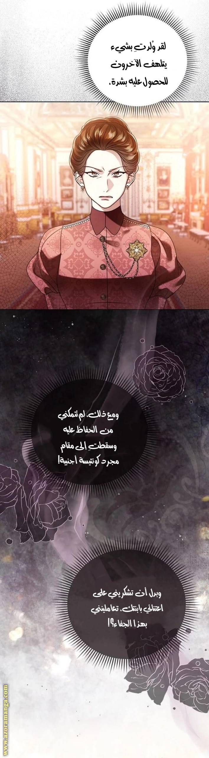 الصفحة 25