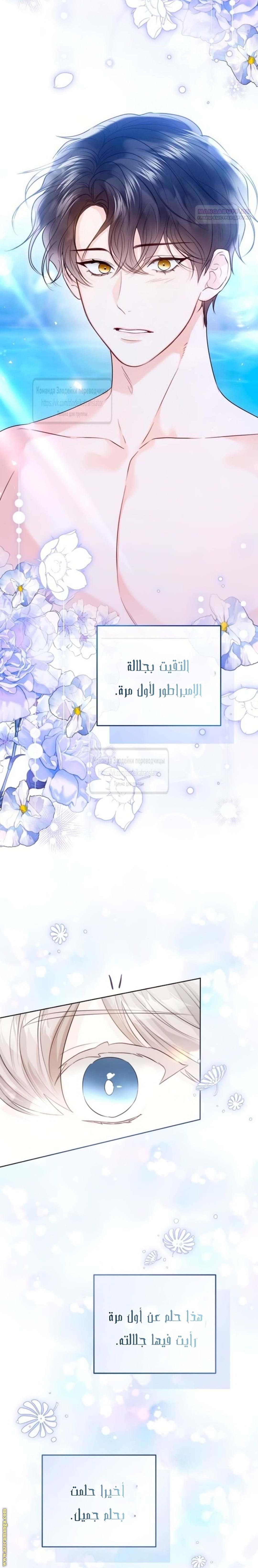 الصفحة 8