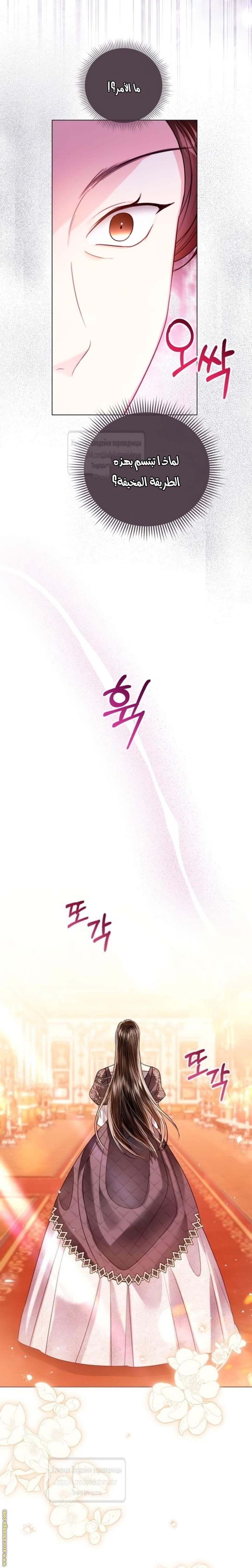 الصفحة 24