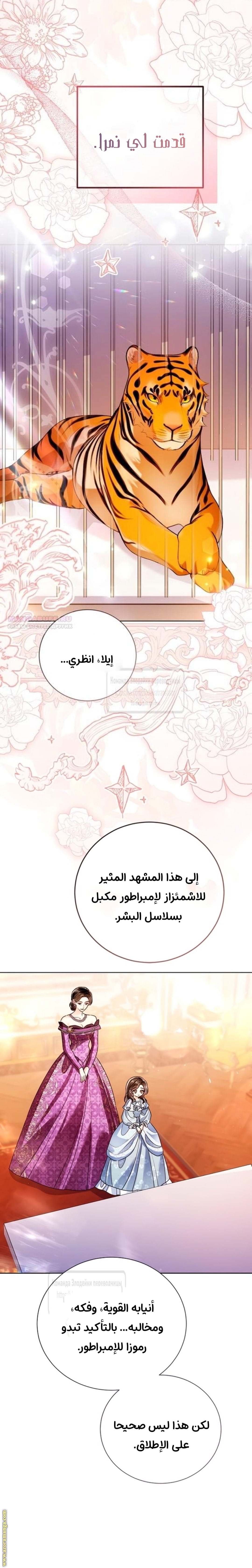 الصفحة 27