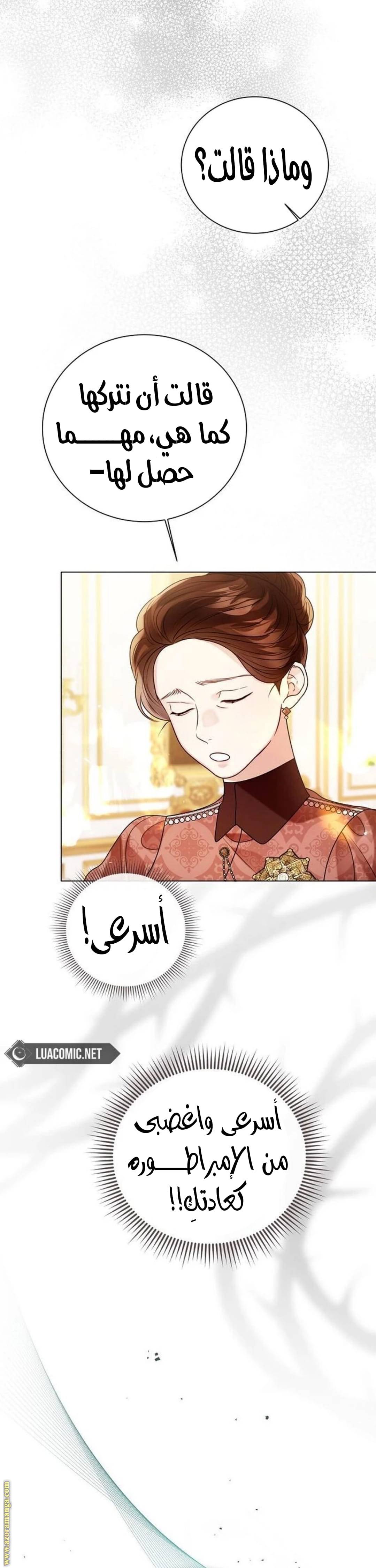 الصفحة 25
