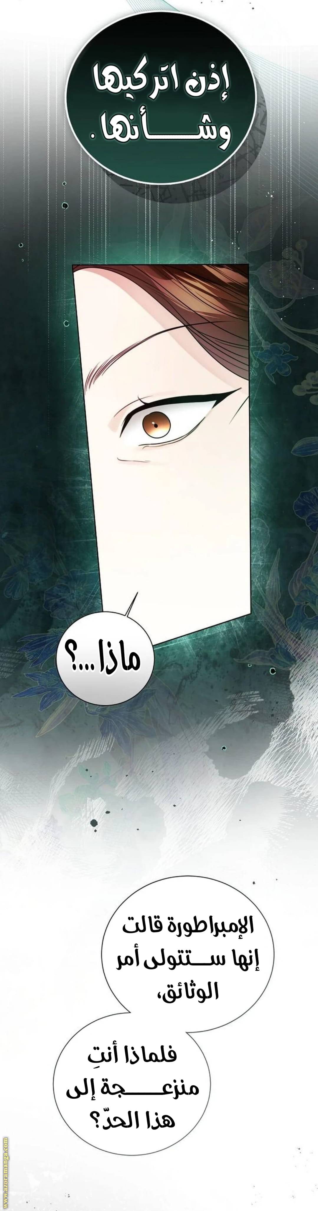 الصفحة 26