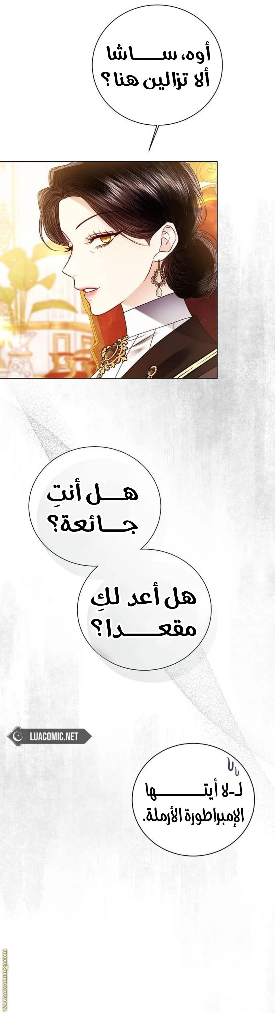 الصفحة 29