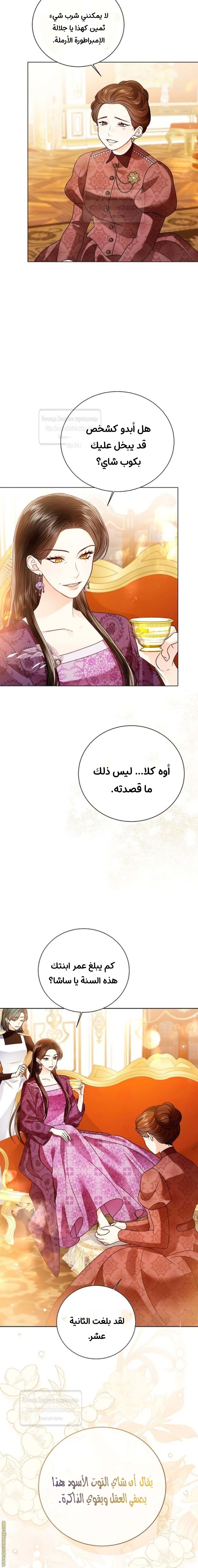 الصفحة 11