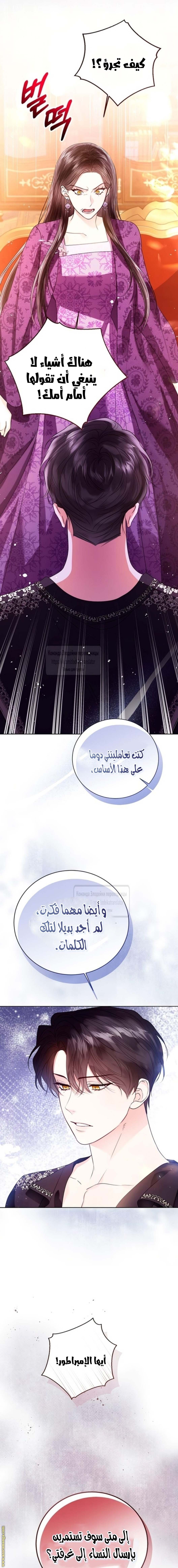 الصفحة 16