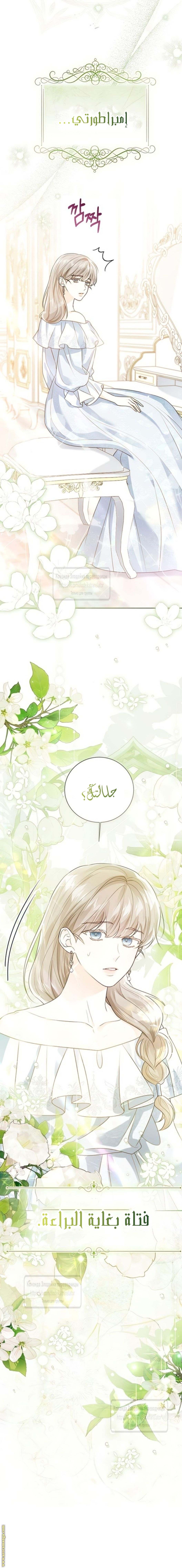 الصفحة 23