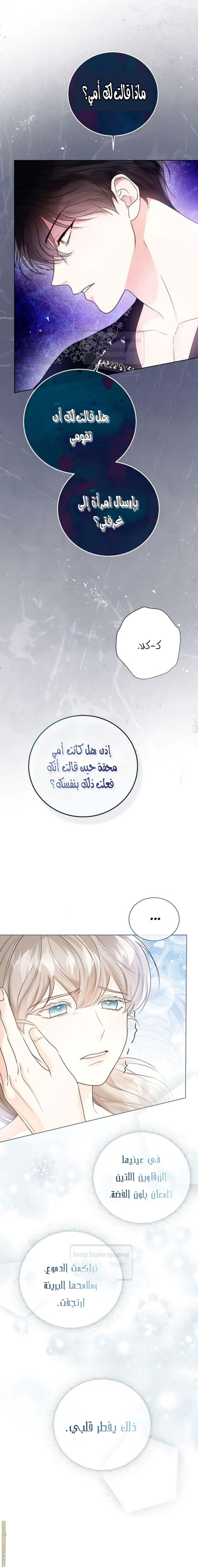 الصفحة 26