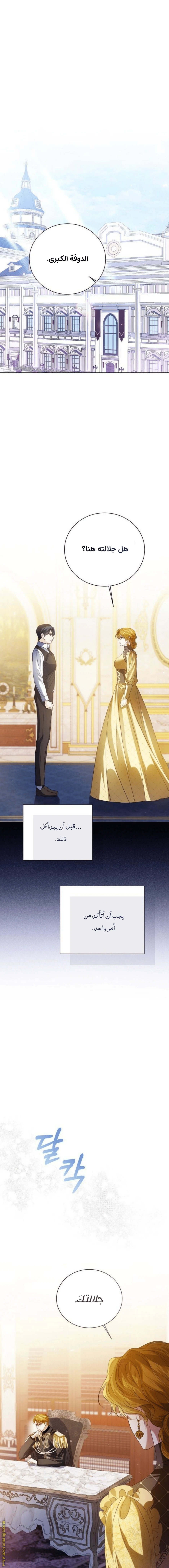 الصفحة 20