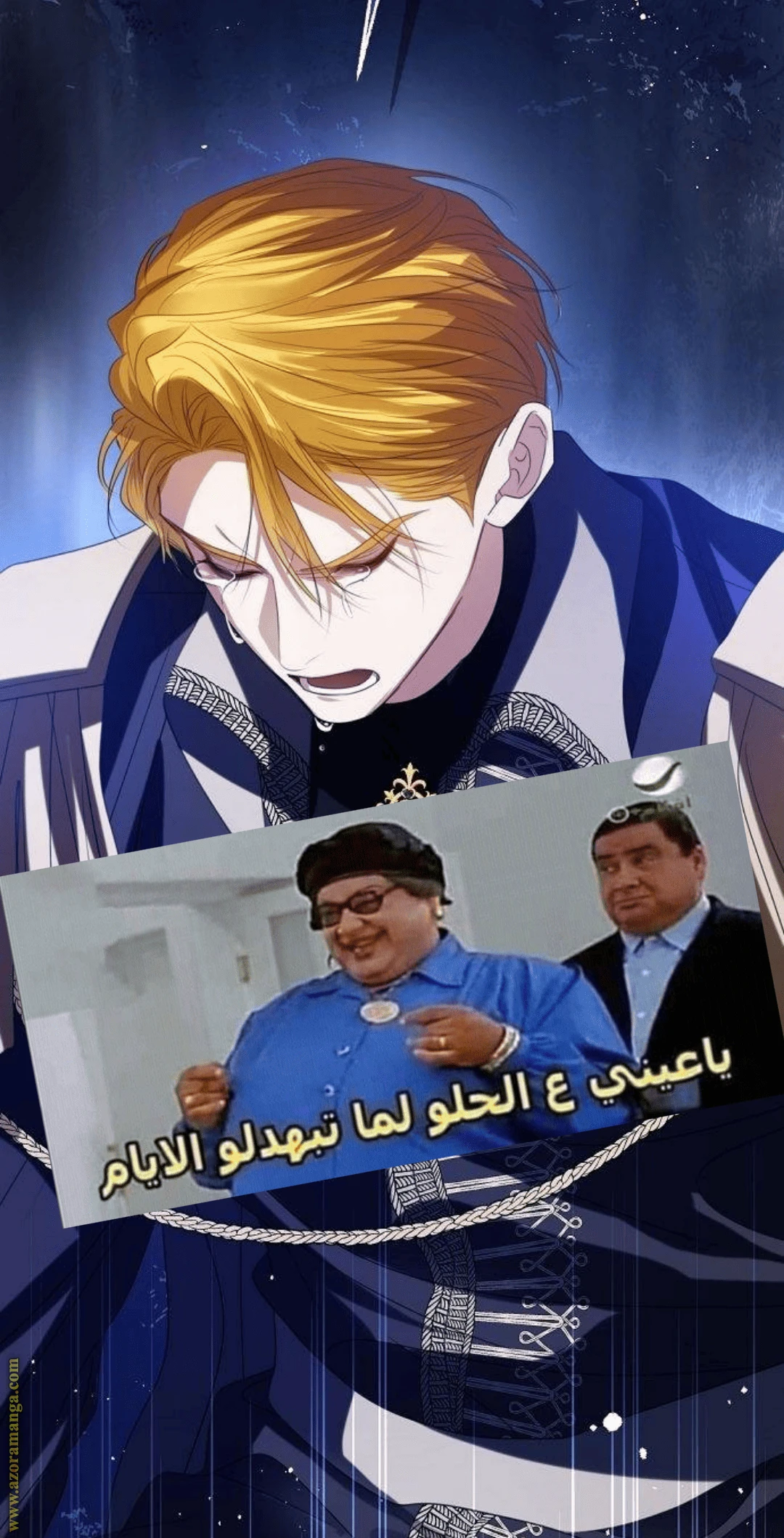 الصفحة 24