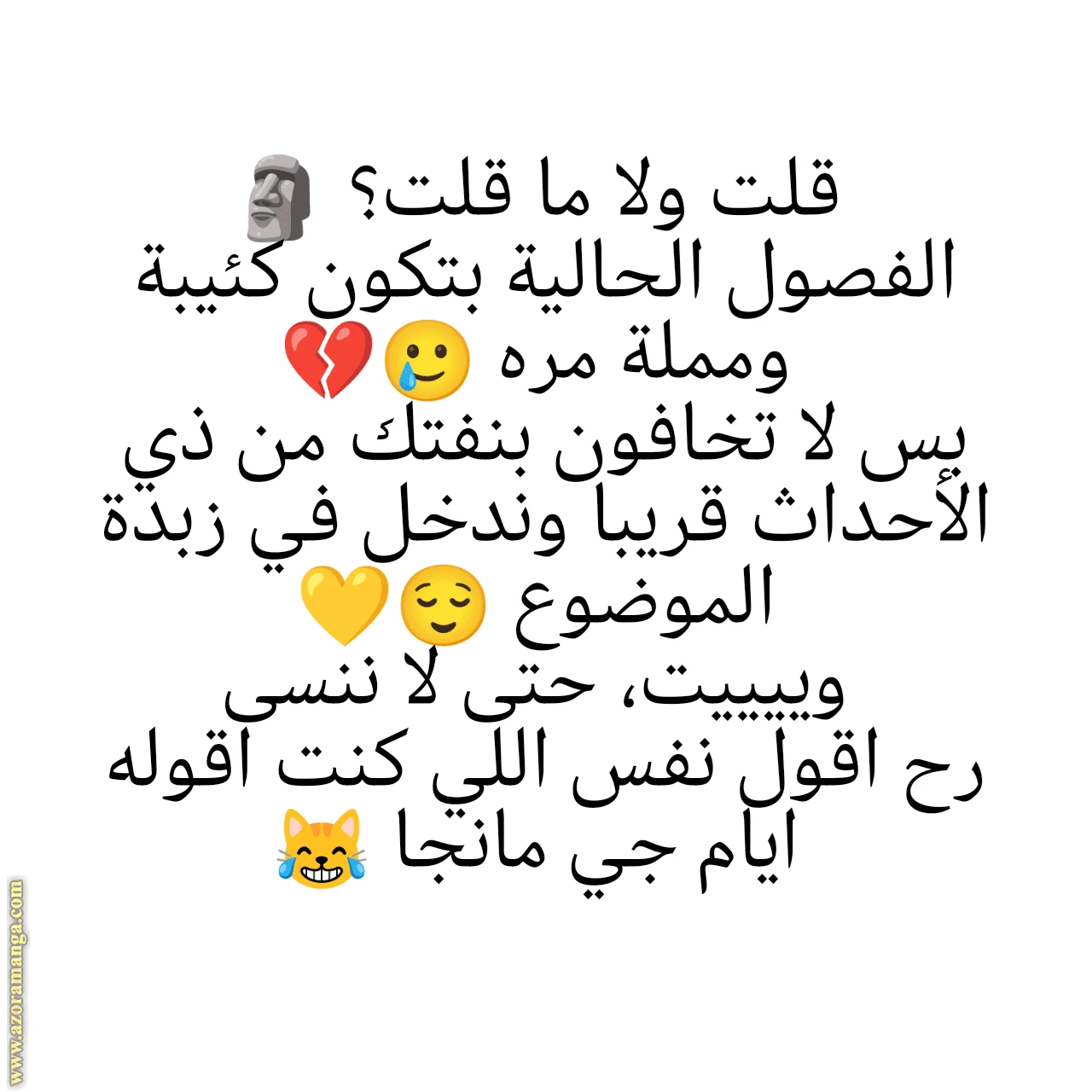 الصفحة 25