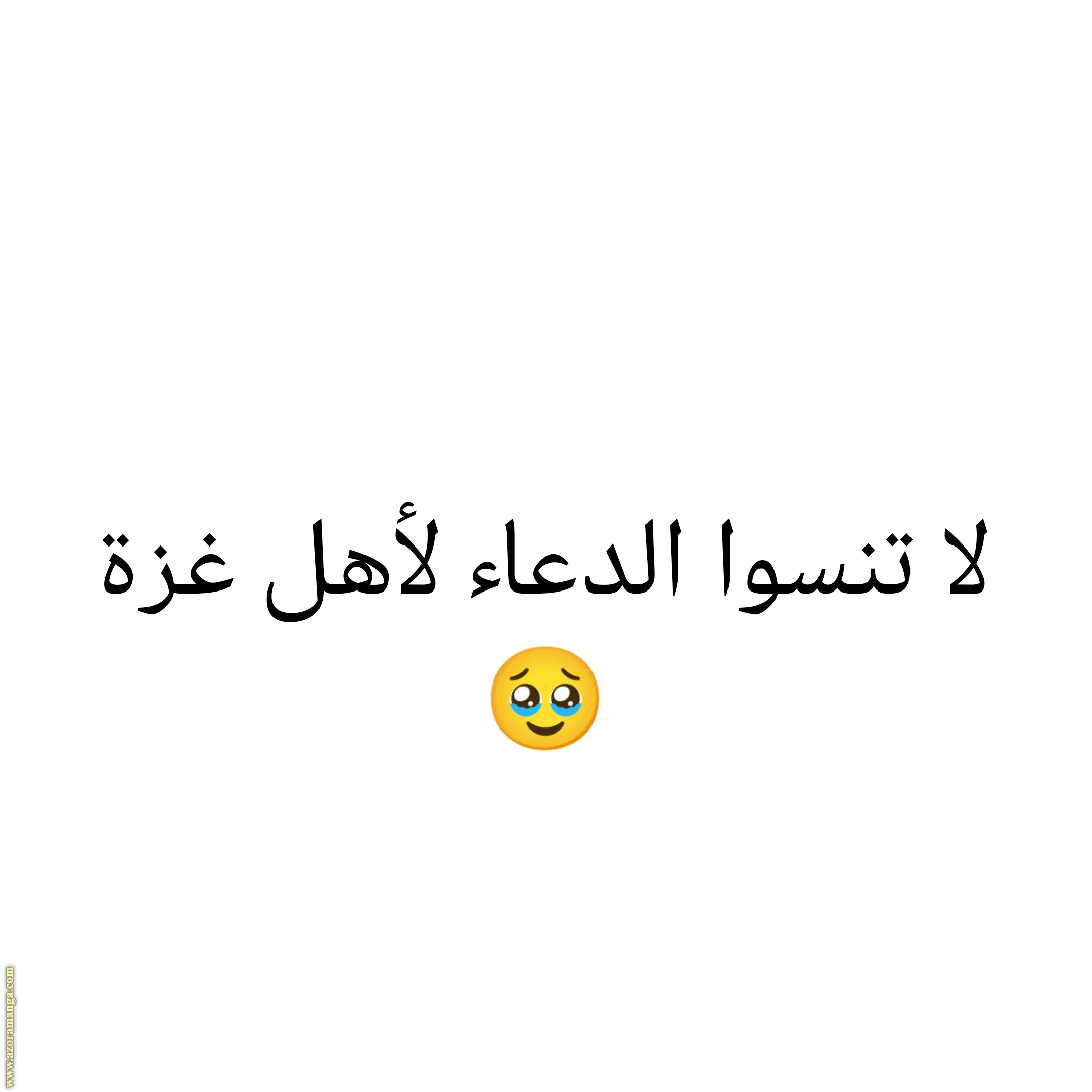 الصفحة 3
