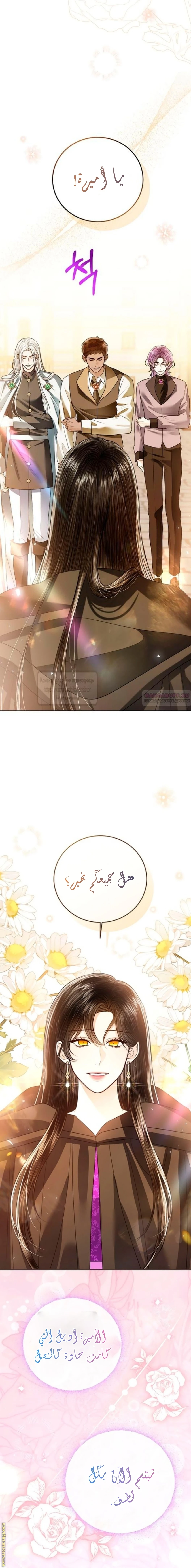 الصفحة 12