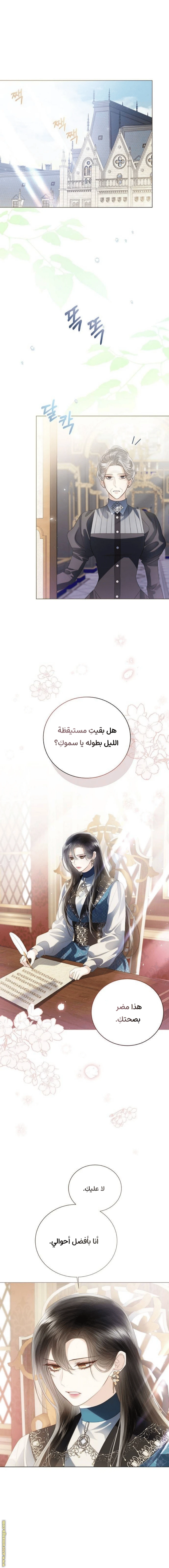 الصفحة 17