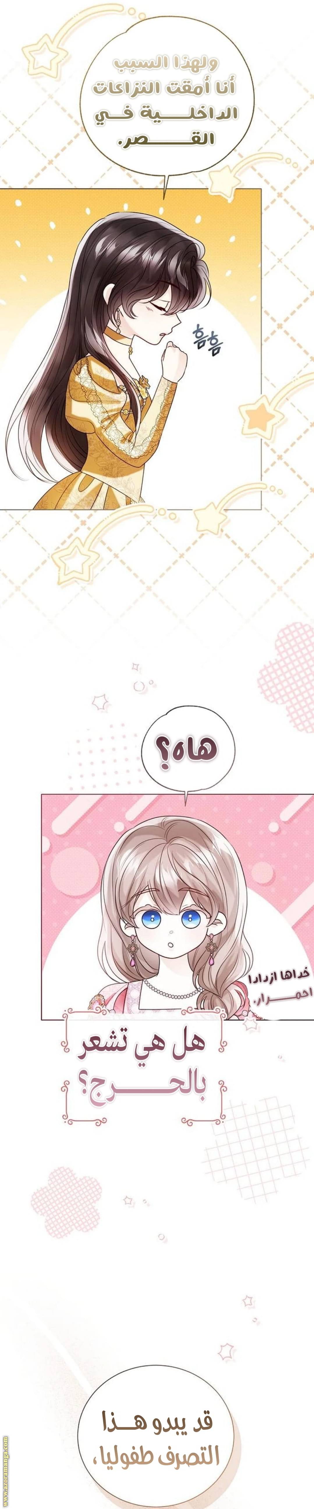 الصفحة 17
