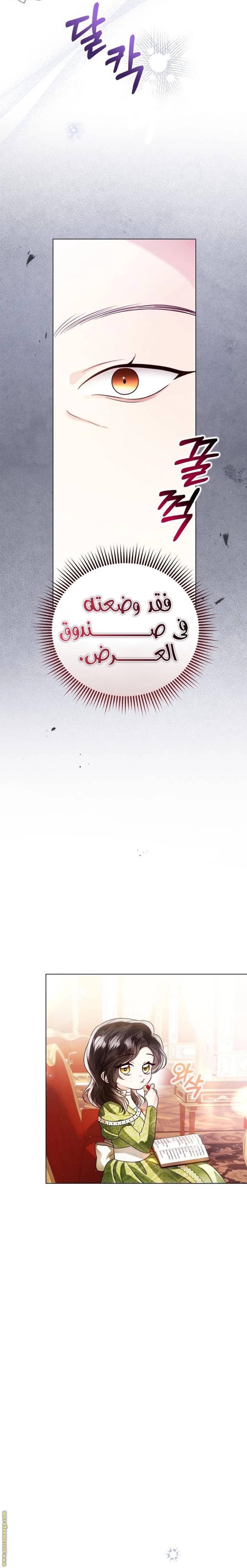 الصفحة 25