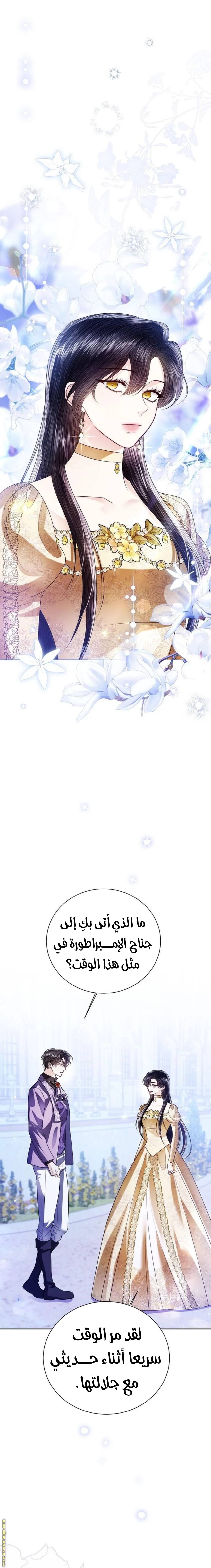 الصفحة 27