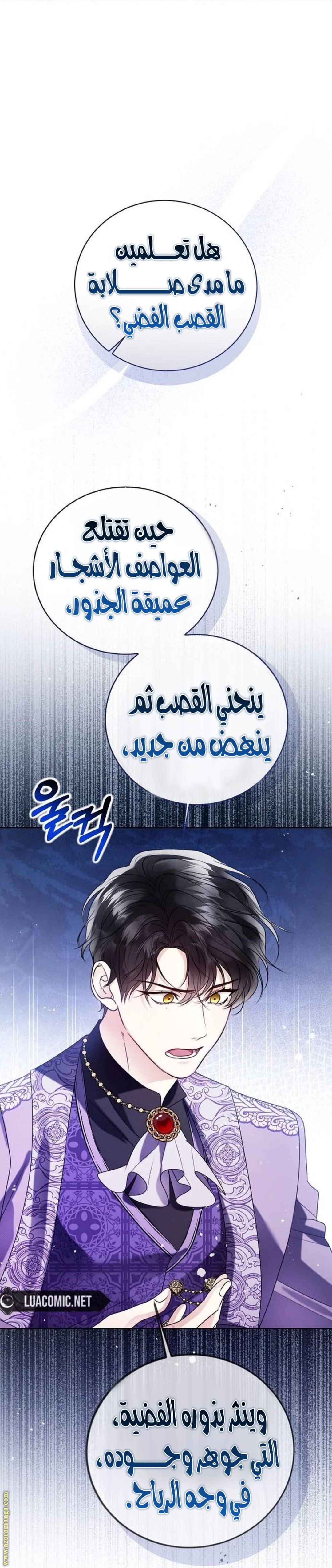 الصفحة 31
