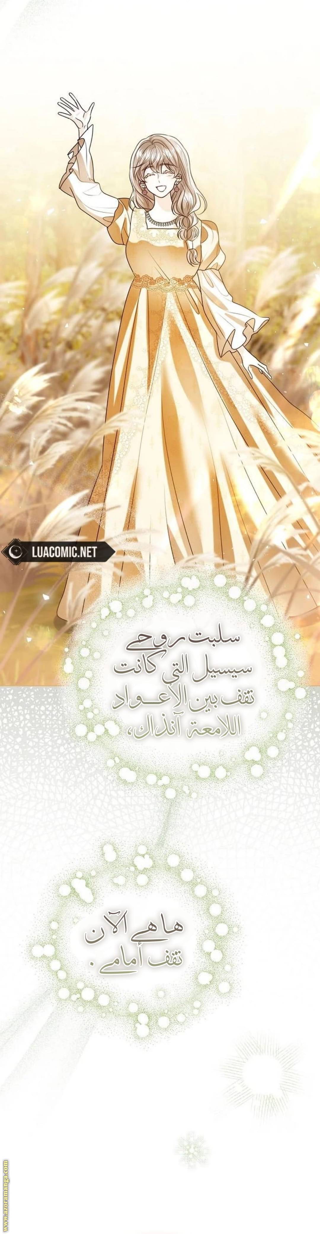 الصفحة 41