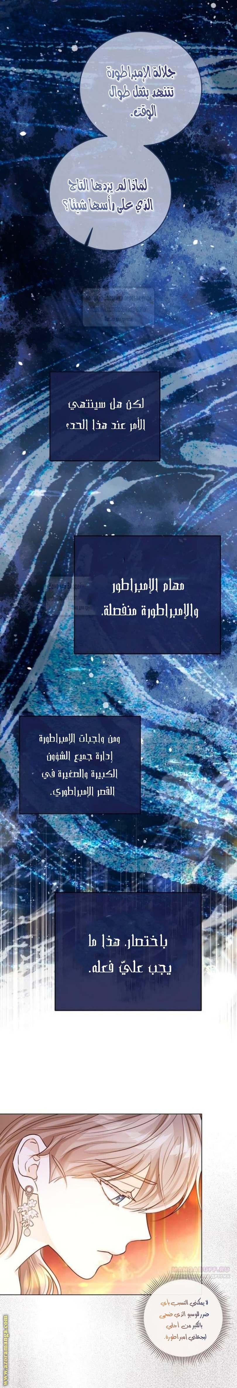 الصفحة 17