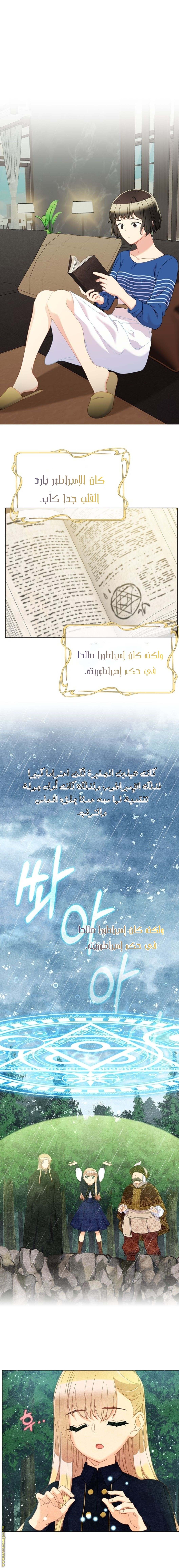 الصفحة 8