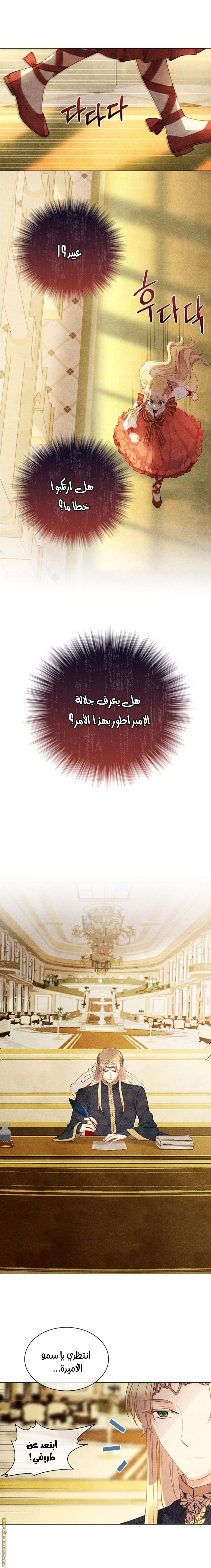 الصفحة 17
