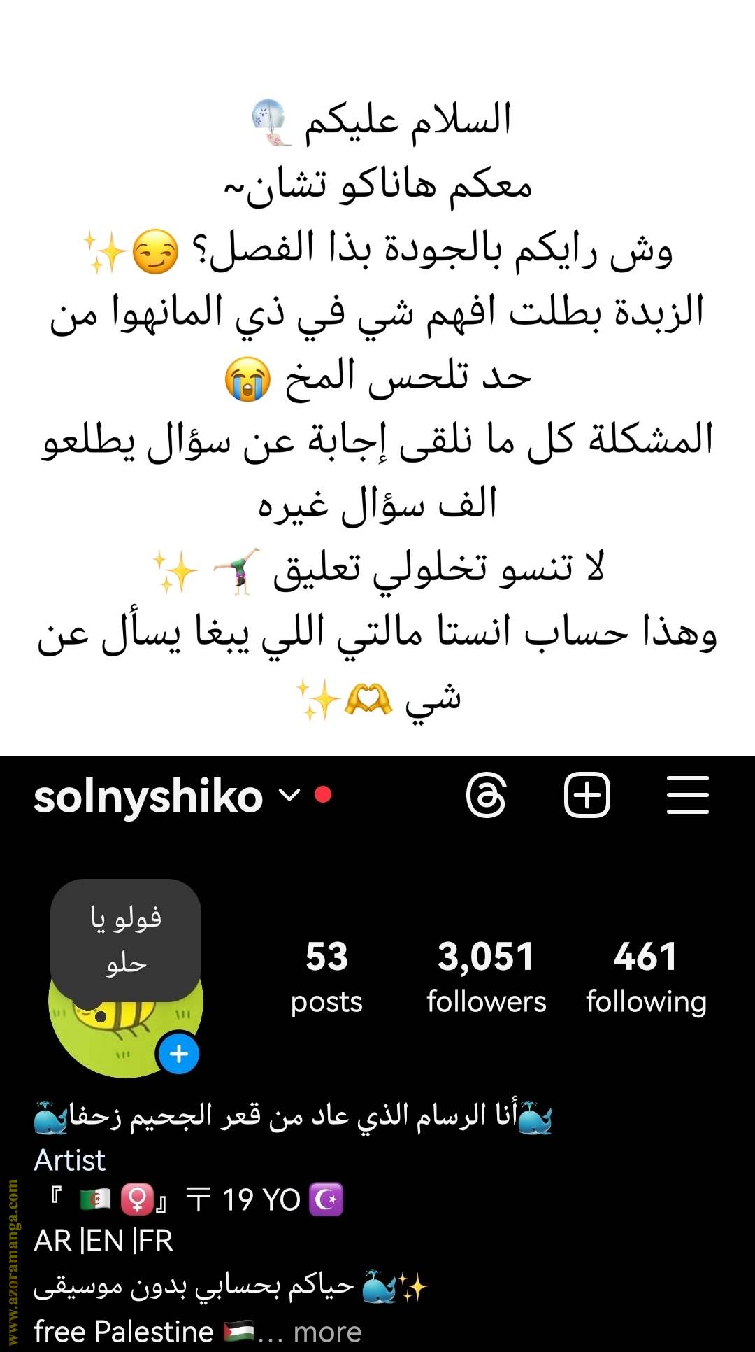 الصفحة 17