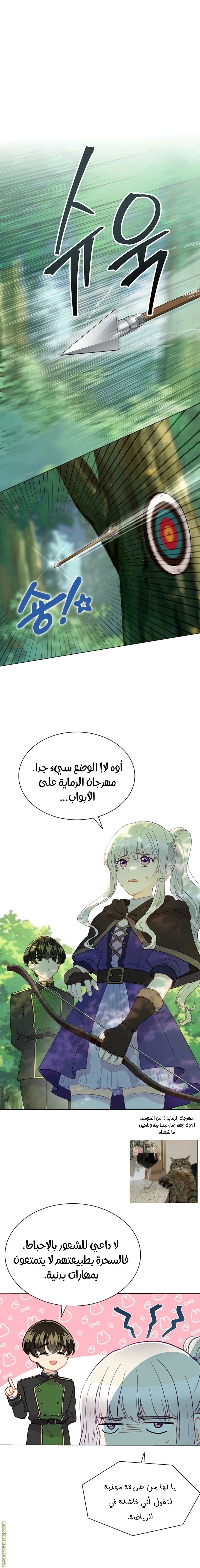 الصفحة 23