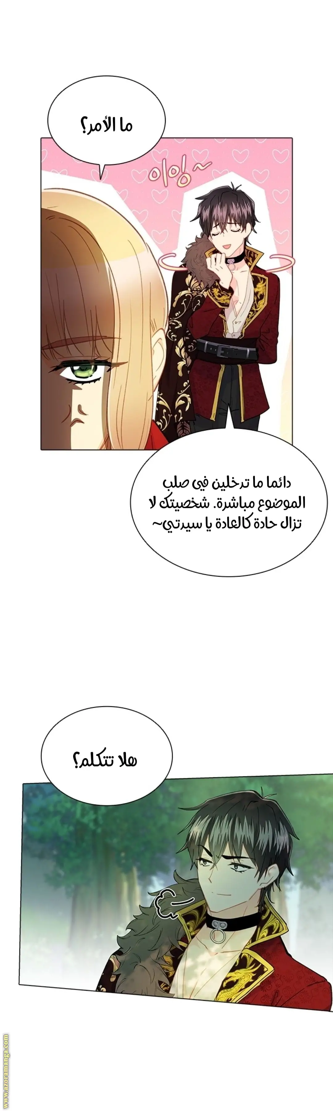 الصفحة 27
