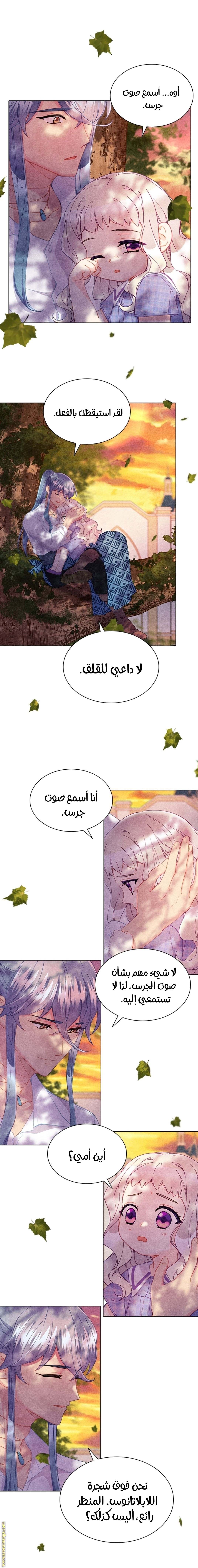 الصفحة 16
