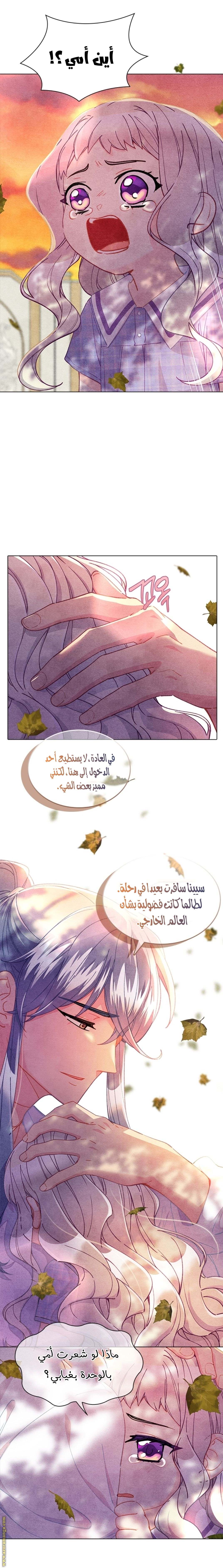الصفحة 17
