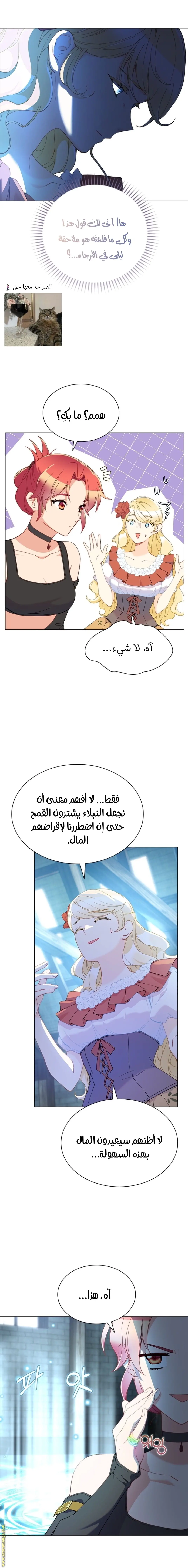 الصفحة 10